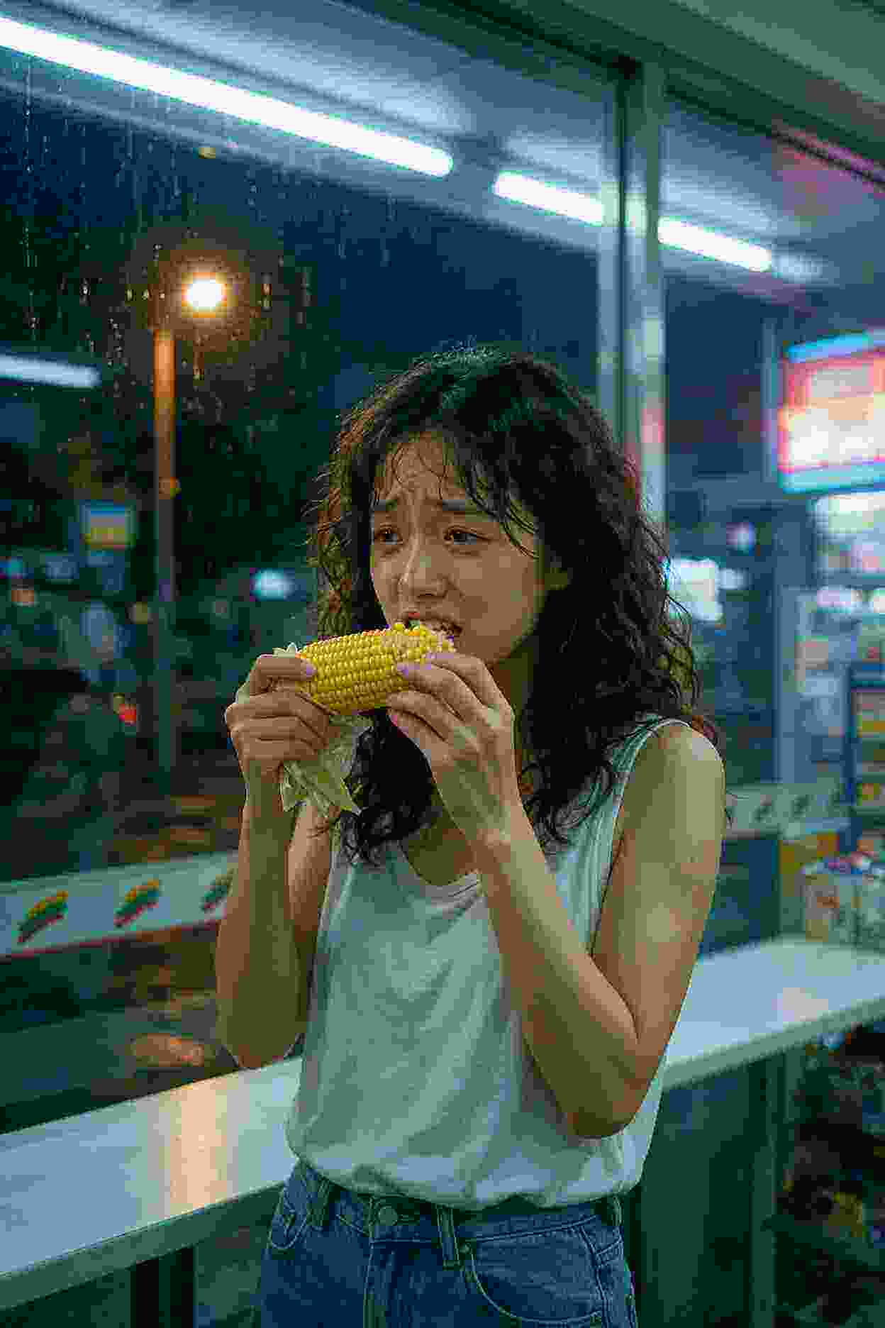 玉宸记